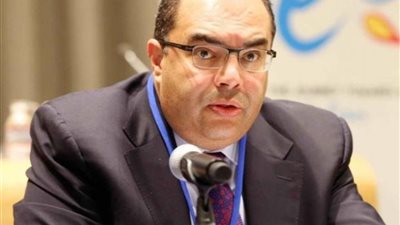 محمود محيي الدين رئيسًا للمركز الإقليمي للتمويل المستدام