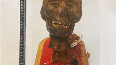 تفاصيل استرداد مصر لـ3 قطع أثرية مهربة من هولندا (صور)