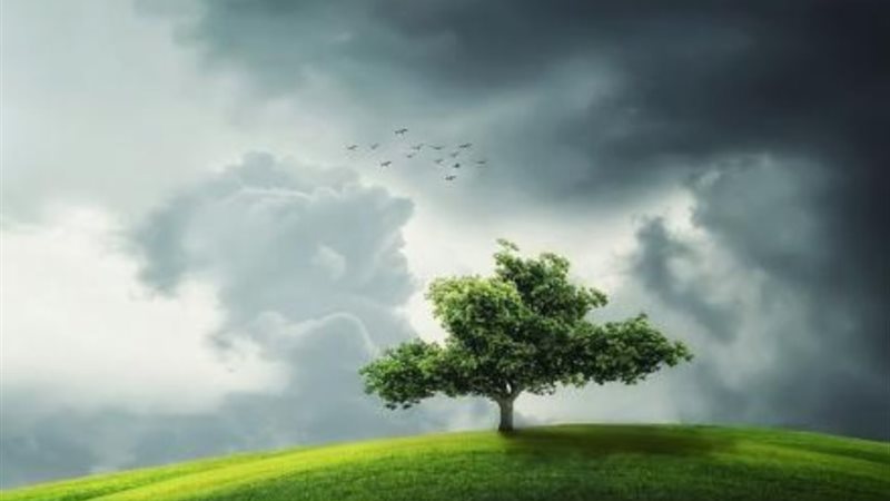 قصة خروج آدم من الجنة