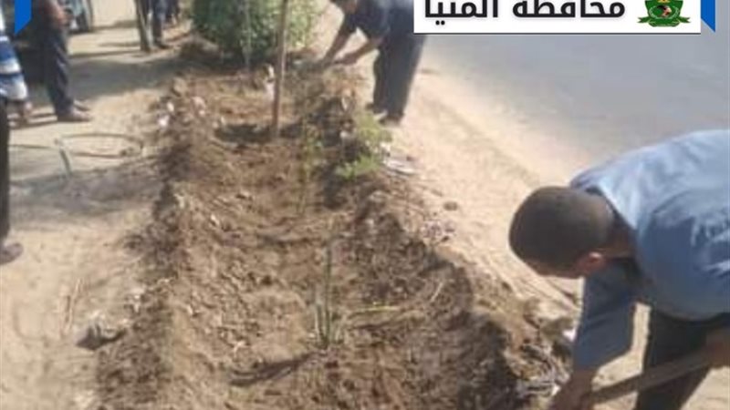 أعمال التشجير بالمنيا