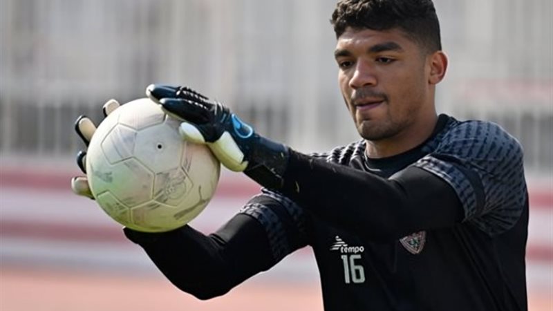 محمد صبحي