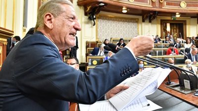 رئيس خطة النواب: 800 جنيه شهريا للأسرة المكونة من 4 أفراد بالدعم النقدي