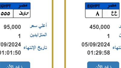 سعرها يتخطى المليون جنيه، «المرور» تطرح 4 لوحات معدنية مميزة للمزايدة