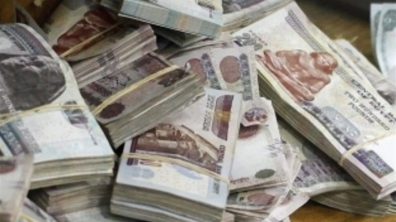 منحة المولد النبوي 2024