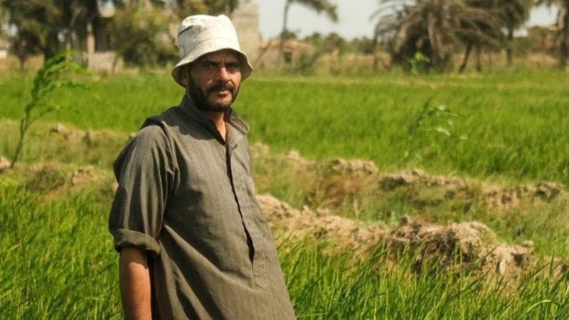 يوم الفلاح