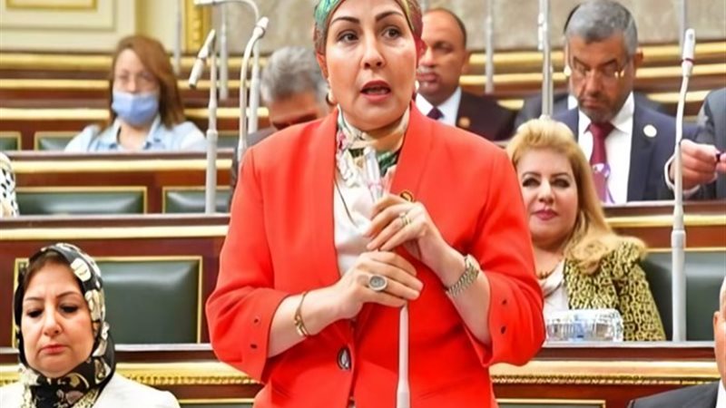 النائبة هالة أبو السعد