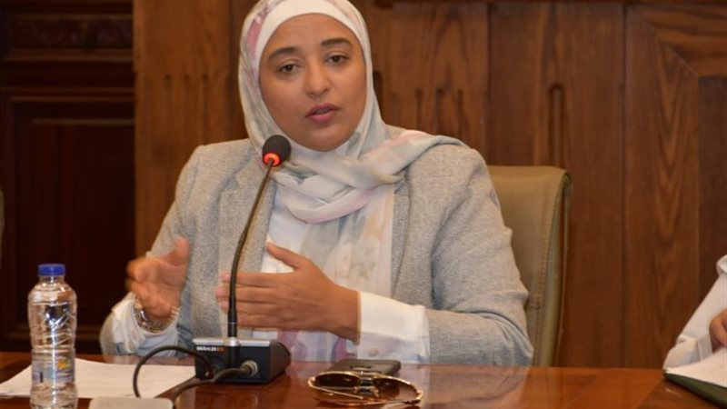 النائبة أميرة أبوشقة