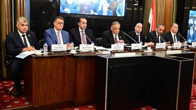 جدل حول المادة 242 بقانون الإجراءات الجنائية الجديد