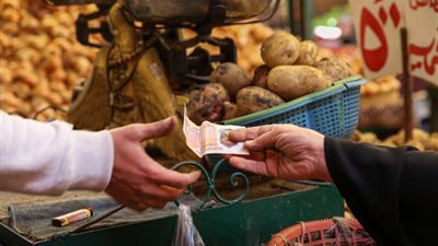 «الإحصاء»: معدل التضخم الشهري في أغسطس يرتفع 1.9%