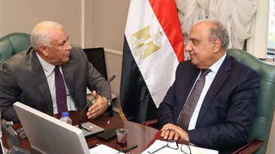 استخدام الطاقة الشمسية بالمصالح الحكومية والمساجد والمدارس بالوادي الجديد
