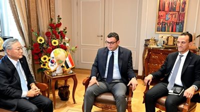 مصر وكوريا الجنوبية يبحثان دعم الصناعات المحلية وتوفير مستلزمات البناء