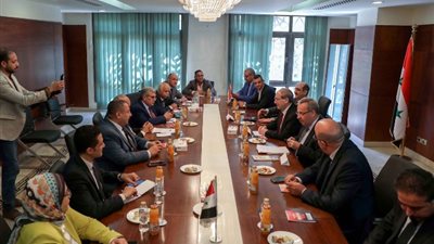 وزير الخارجية السوري يثمن دور الرئيس السيسي في دعم سوريا