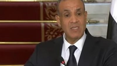 وزير الخارجية: مؤسسات مصر ساعدت في مواجهة العديد من الأزمات بدول الجوار