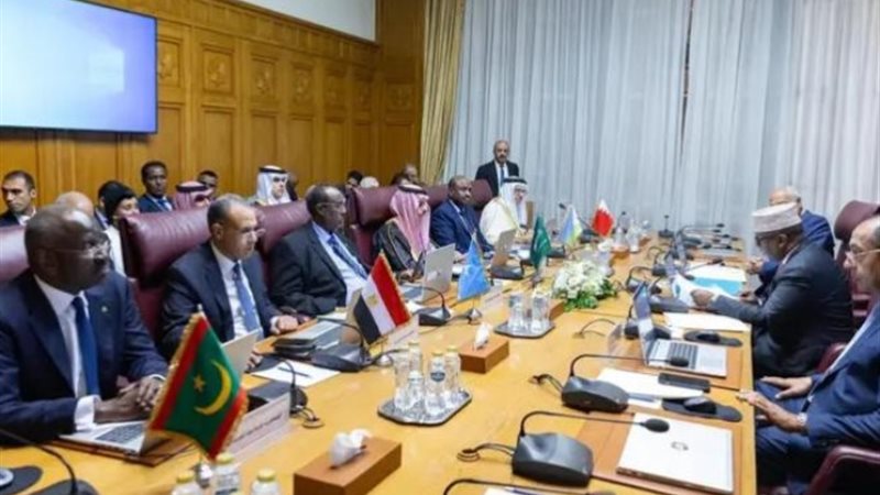 اجتماع مجموعة العمل الوزارية العربية