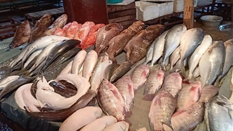 اسعار الاسماك اليوم