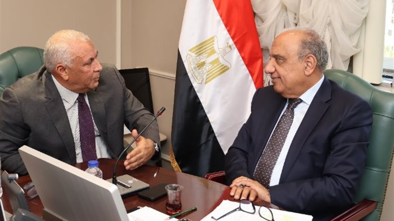 الدكتور محمود عصمت وزير الكهرباء