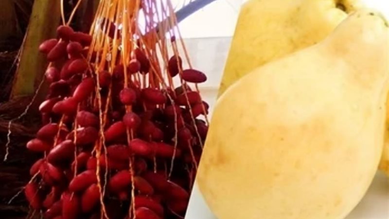 عيد النيروز