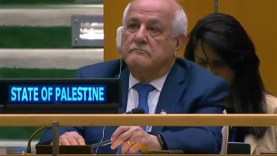 في لحظة تاريخية، فلسطين تحصل على مقعد في الجمعية العامة للأمم المتحدة (فيديو)