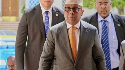 وزير الخارجية الصومالي يشدد على ضرورة مغادرة القوات الإثيوبية أراضي بلاده
