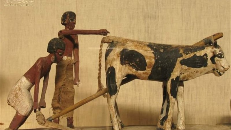 الأنشطة الزراعية للفلاح المصري القديم