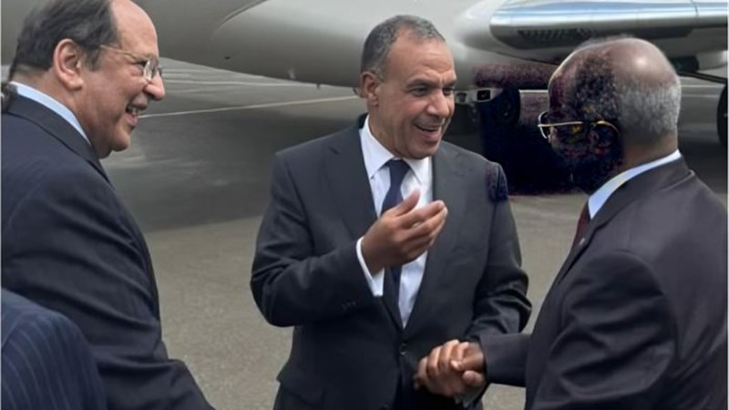 اللواء عباس كامل رئيس المخابرات ووزير الخارجية