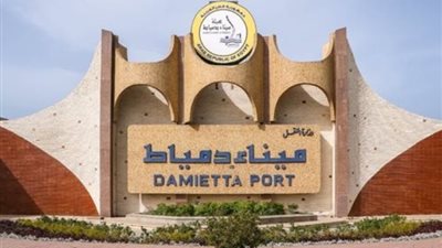 ميناء دمياط يستقبل «وادى الكرم» محملة بـ 63 ألف طن قمح روماني