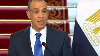 وزير الخارجية: تسلمنا 970 عربة قطار من المجر لتطوير منظومة النقل