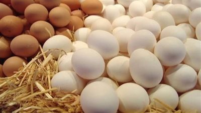 الحكومة ترفض كل طلبات استيراد البيض من الخارج