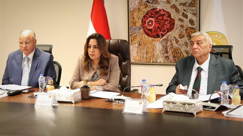 وزيرة التنمية المحلية