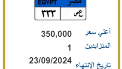 بقيمة 350 ألف جنيه، «المرور» تطرح لوحة معدنية مميزة للتزايد