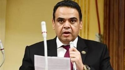 النائب نادر الخبيري: مشاركة منتدى شباب العالم بقمة المستقبل يعكس التزام مصر بالعمل الدولي