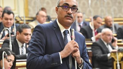برلماني: مشاركة منتدى شباب العالم بقمة المستقبل يعكس مدى الثقة بقدرات الشباب المصري