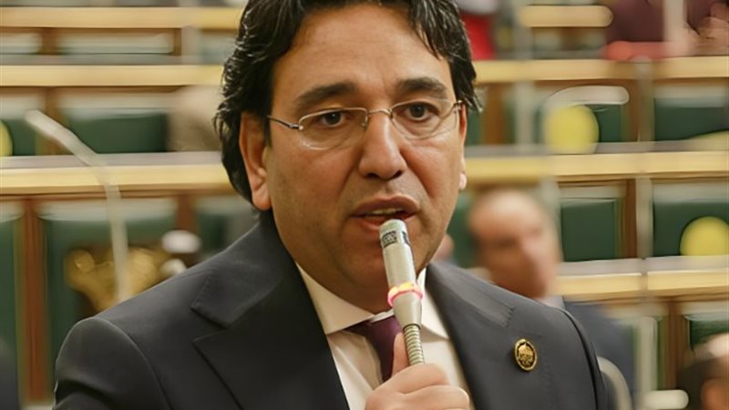 الدكتور أيمن محسب