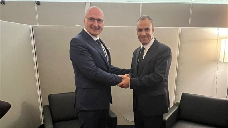 وزير الخارجية والهجرة وشؤون المصريين في الخارج، الدكتور بدر