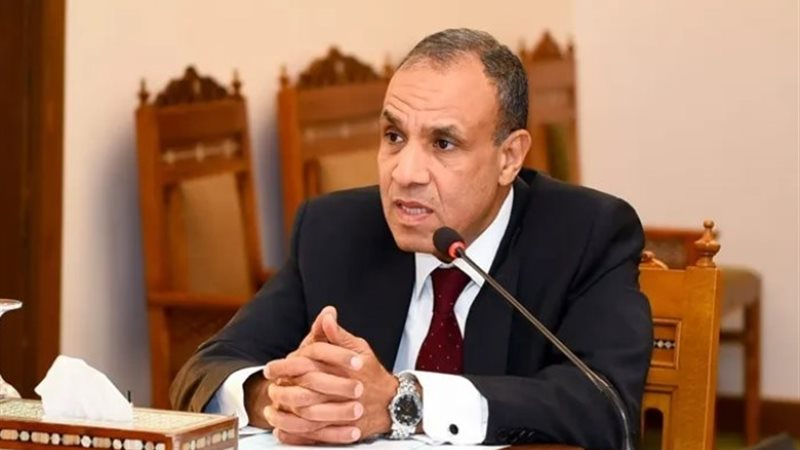 وزير الخارجية والهجرة وشئون المصريين بالخارج الدكتور بدر عب