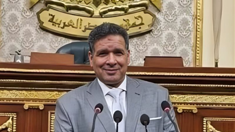 النائب عصام العمدة