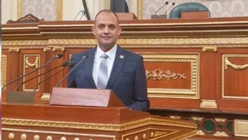 النائب هشام الجاهل