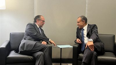 وزير الخارجية يؤكد على مواصلة مصر حشد الدعم للحقوق الفلسطينية المشروعة