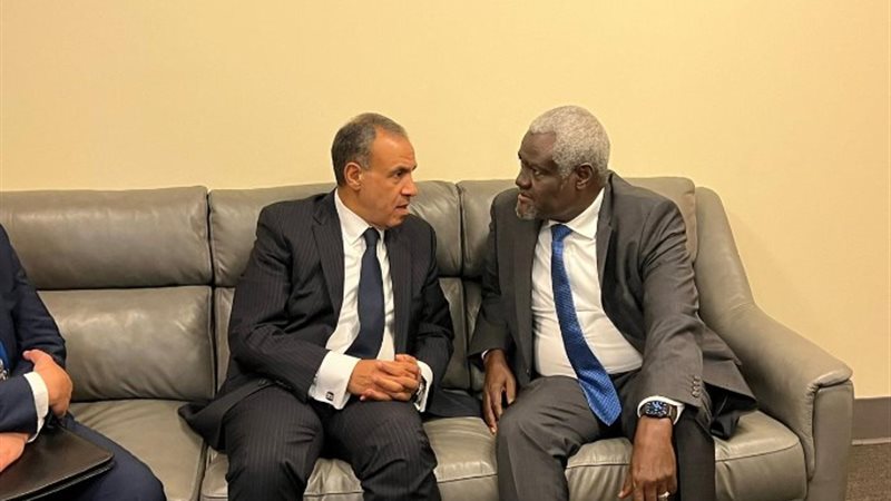 وزير الخارجية الدكتور بدر عبد العاطي