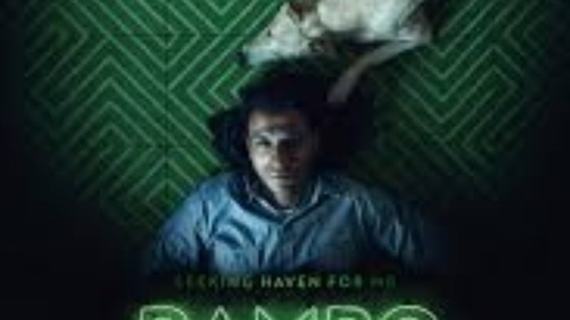فيلم البحث عن منفذ لخروج السيد رامبو