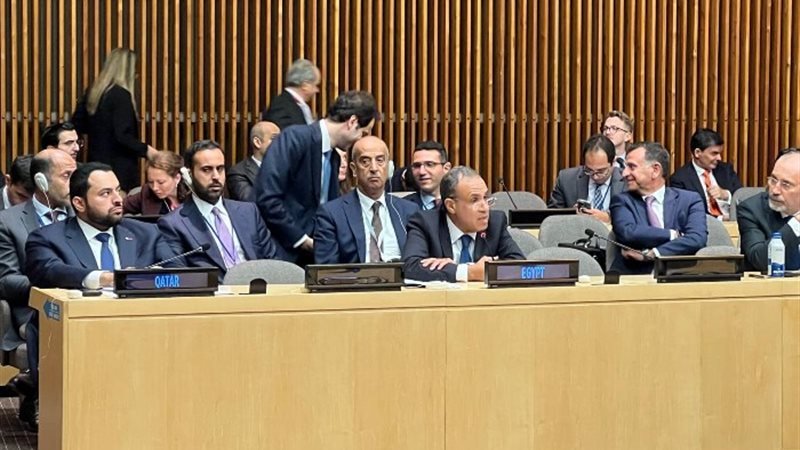 الدكتور بدر عبد العاطي وزير الخارجية والهجرة وشئون المصريين