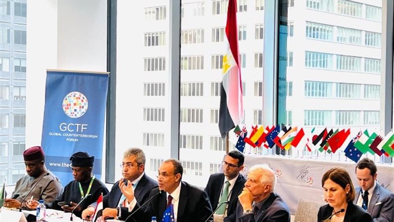 وزير الخارجية الدكتور بدر عبد العاطي