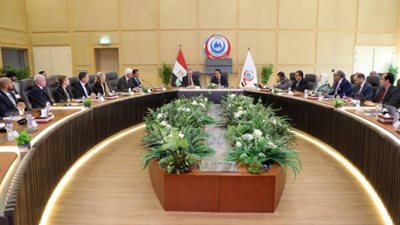 «الصحة» تبحث التوسع في المشروعات الطبية مع السويد