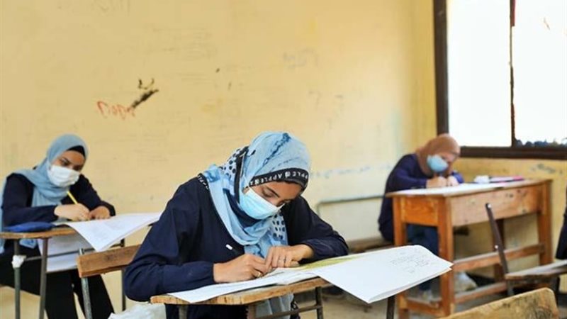 الدبولمات الفنية