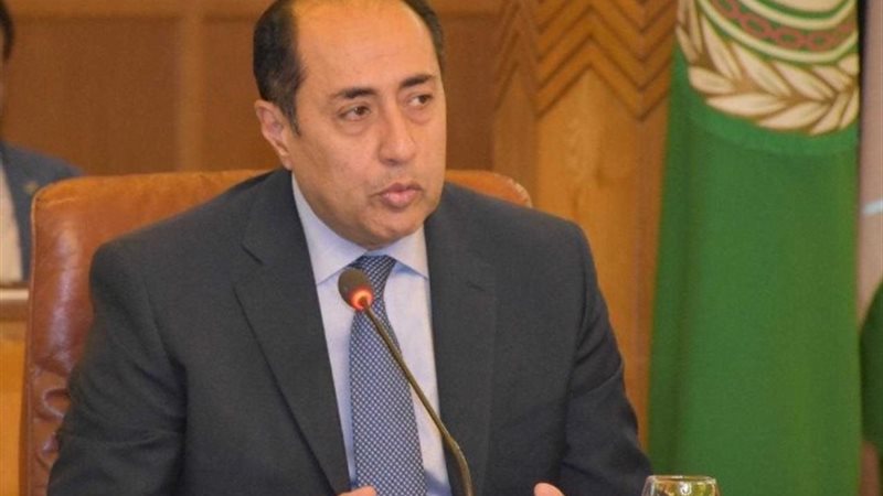 الأمين العام المساعد بجامعة الدول العربية السفير حسام زكى