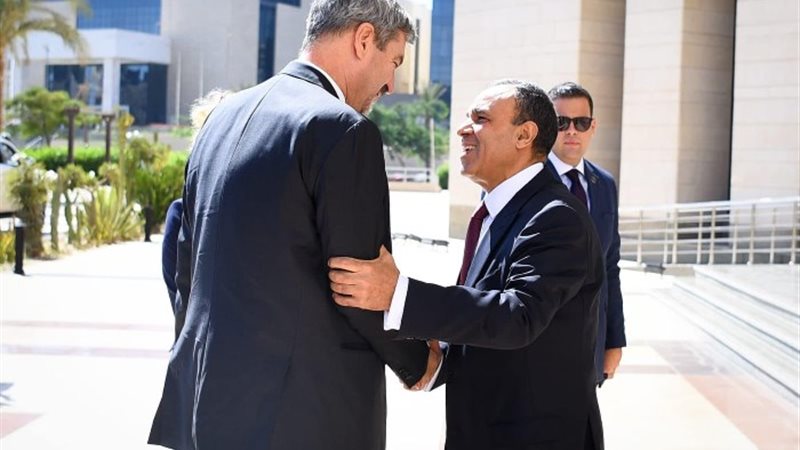 بدر عبد العاطى، وزير الخارجية والهجرة