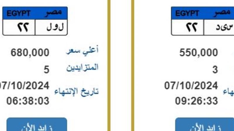 لوحات يجري التزايد عليها