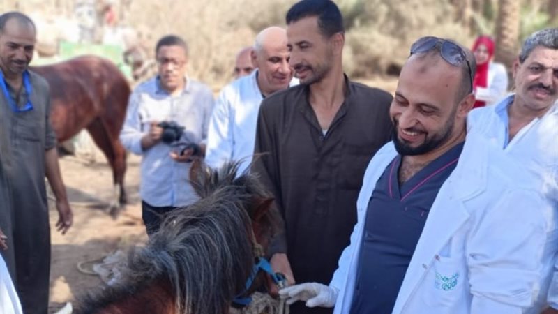 قافلة بيطرية بسقارة