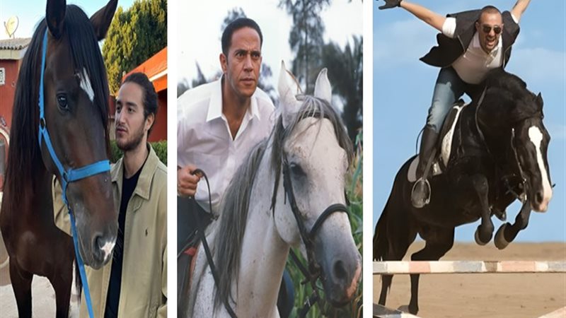أحمد السقا وأشرف عبد الباقي وأحمد مالك