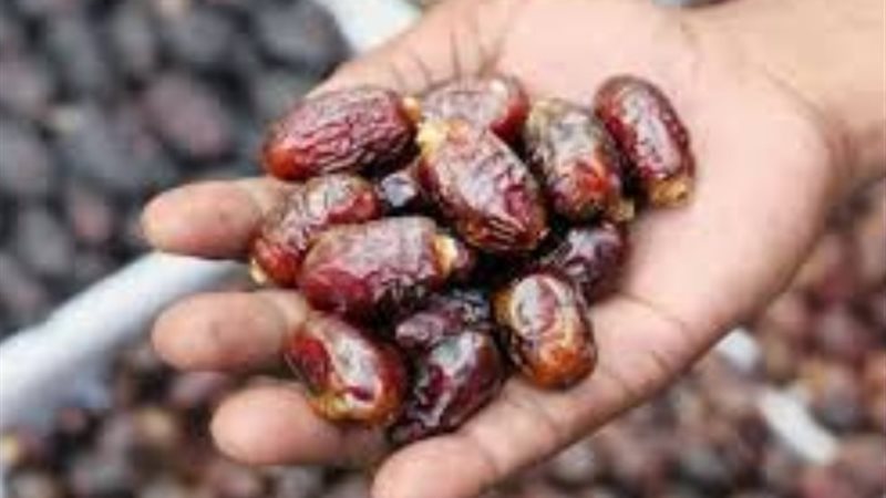 التمور